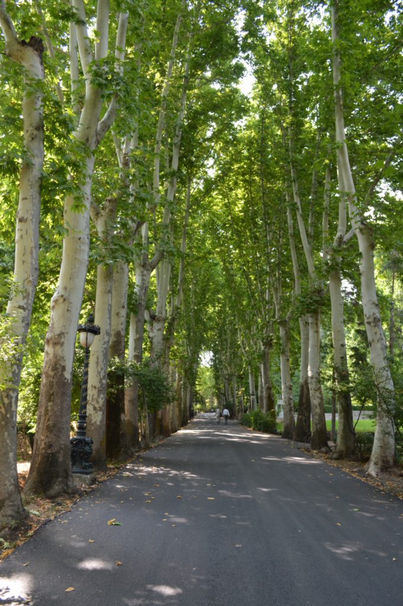 イランの街の様子④　テヘラン中編