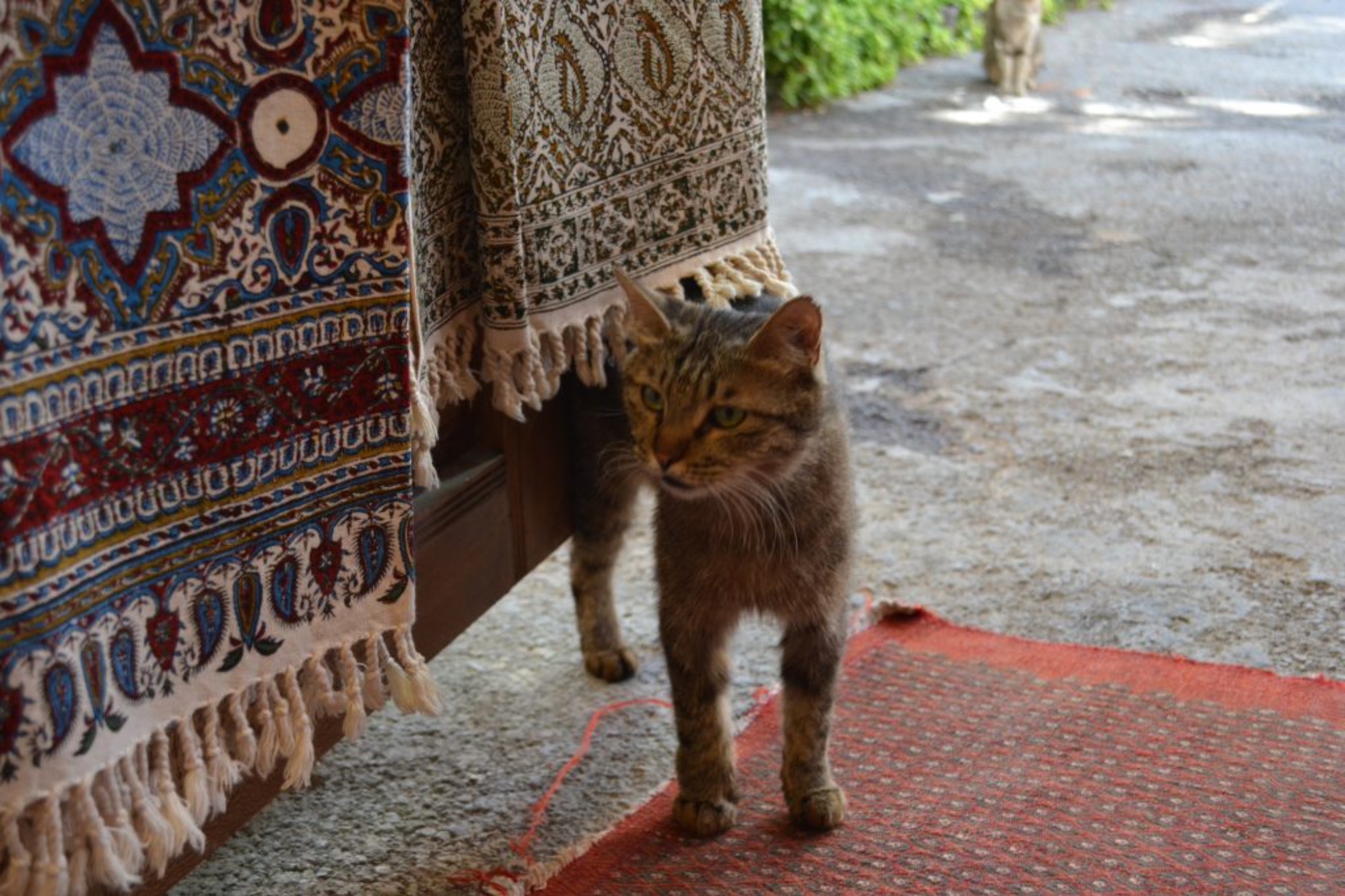 イランで出会った人々③