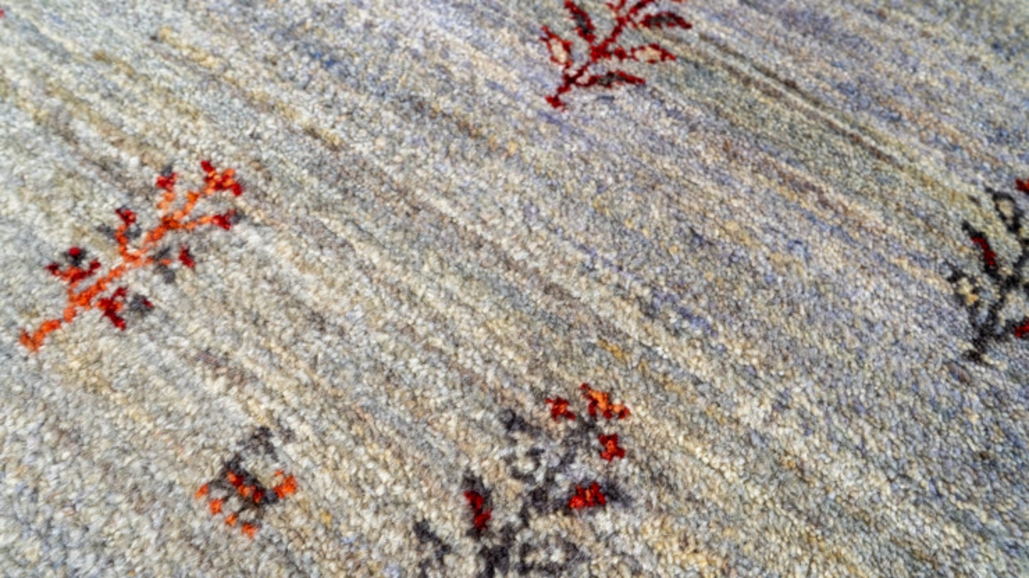 10155673 アマレ 96×64