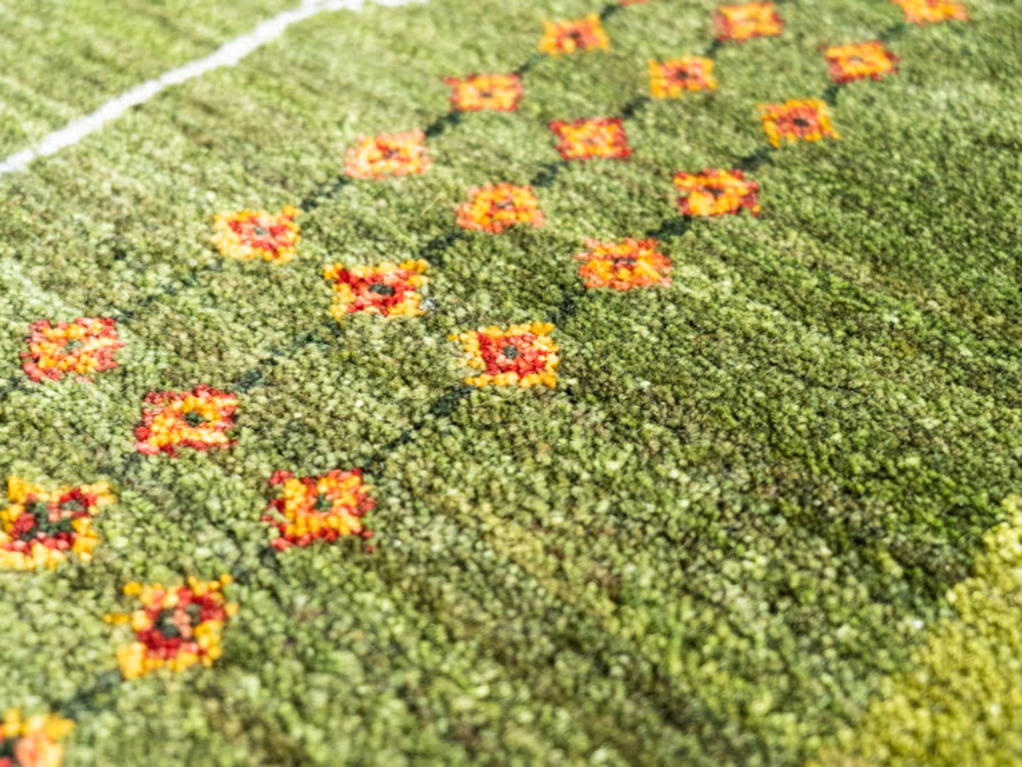 10128611 アマレ 247×206