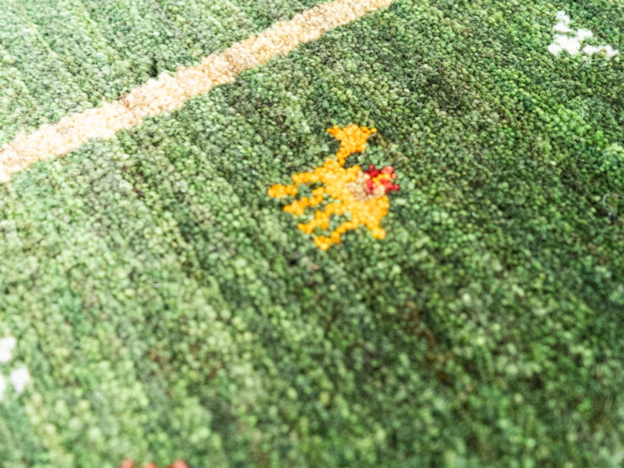 10163601 アマレ 56×41