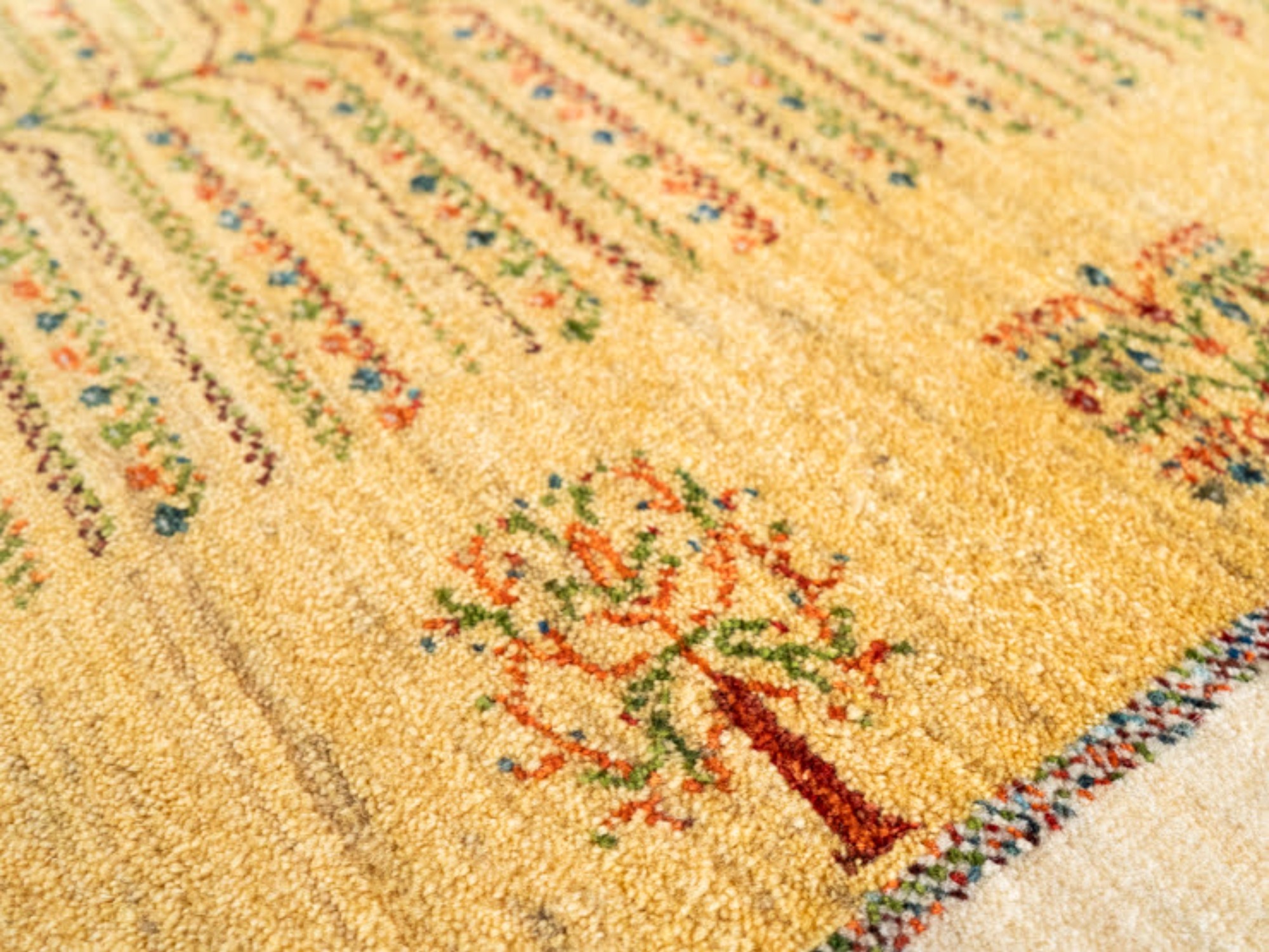 10074497 カシュクリ 187×121