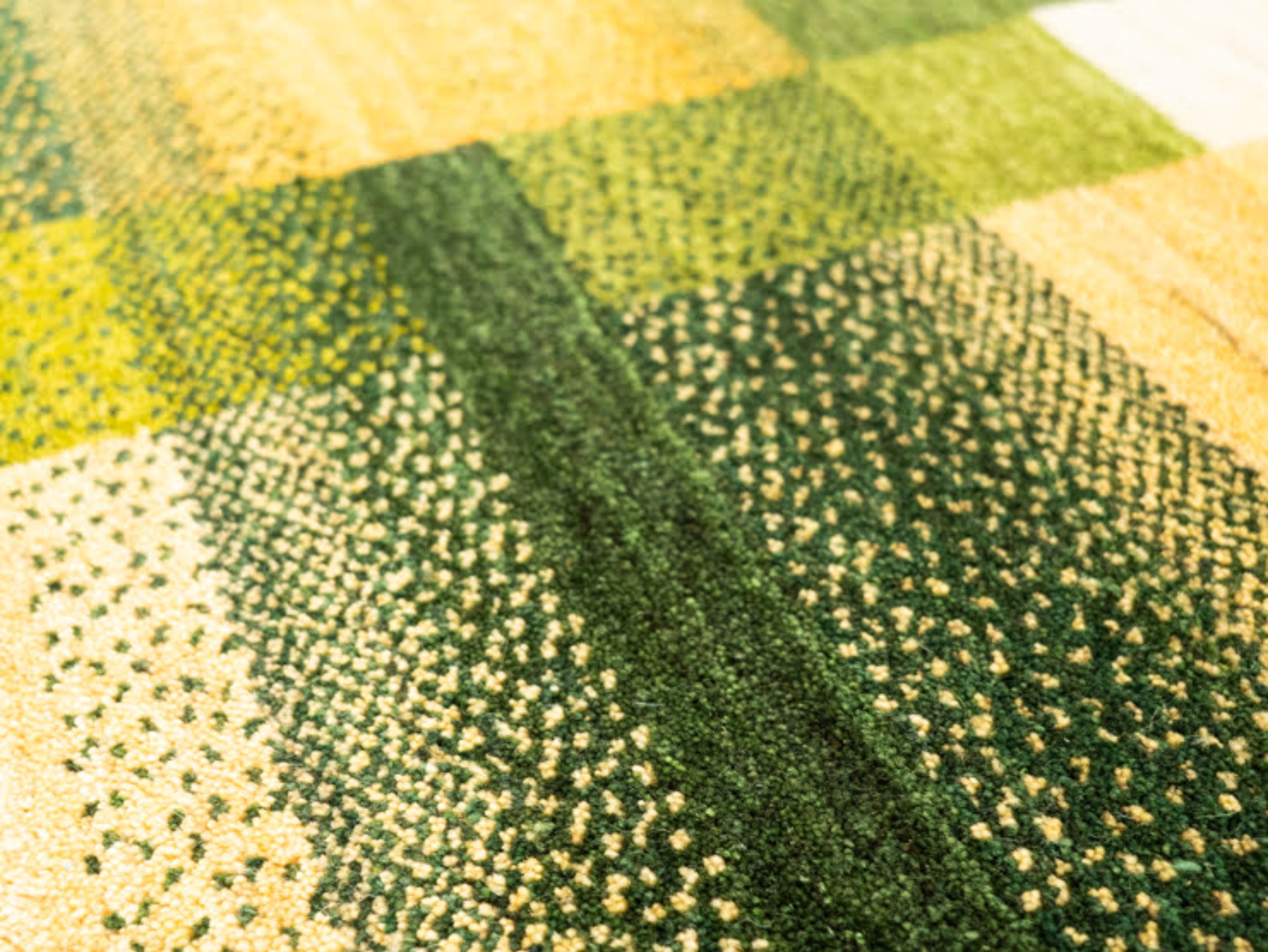 9600127 シャクルー 201×153