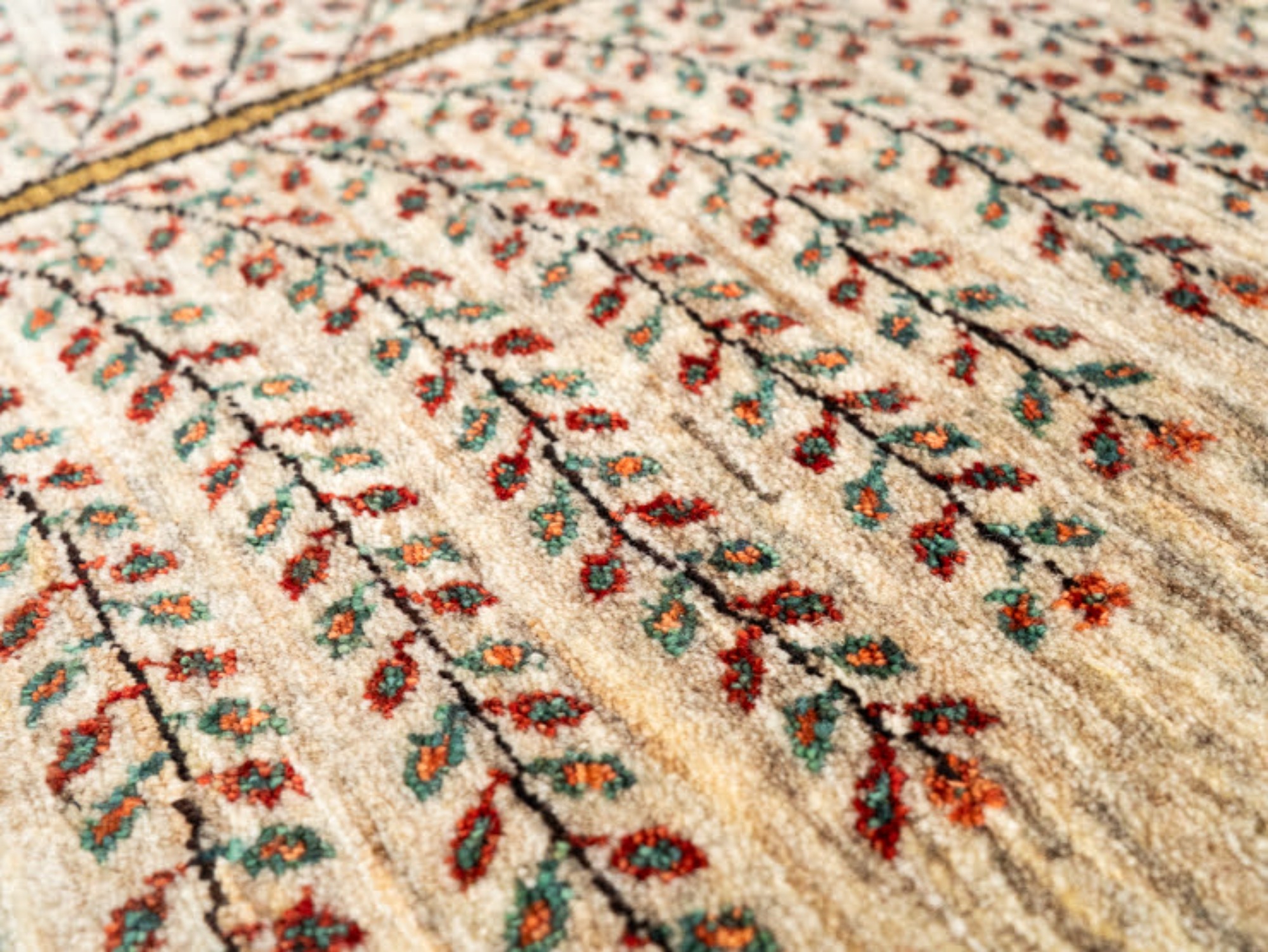 10148184 ルリバフ 235×168