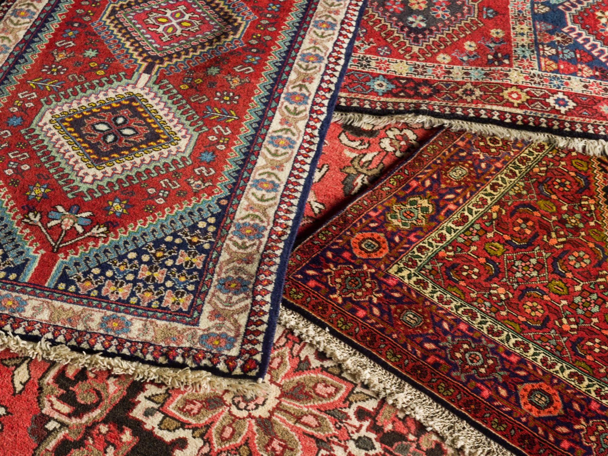 トップ　トライバル①