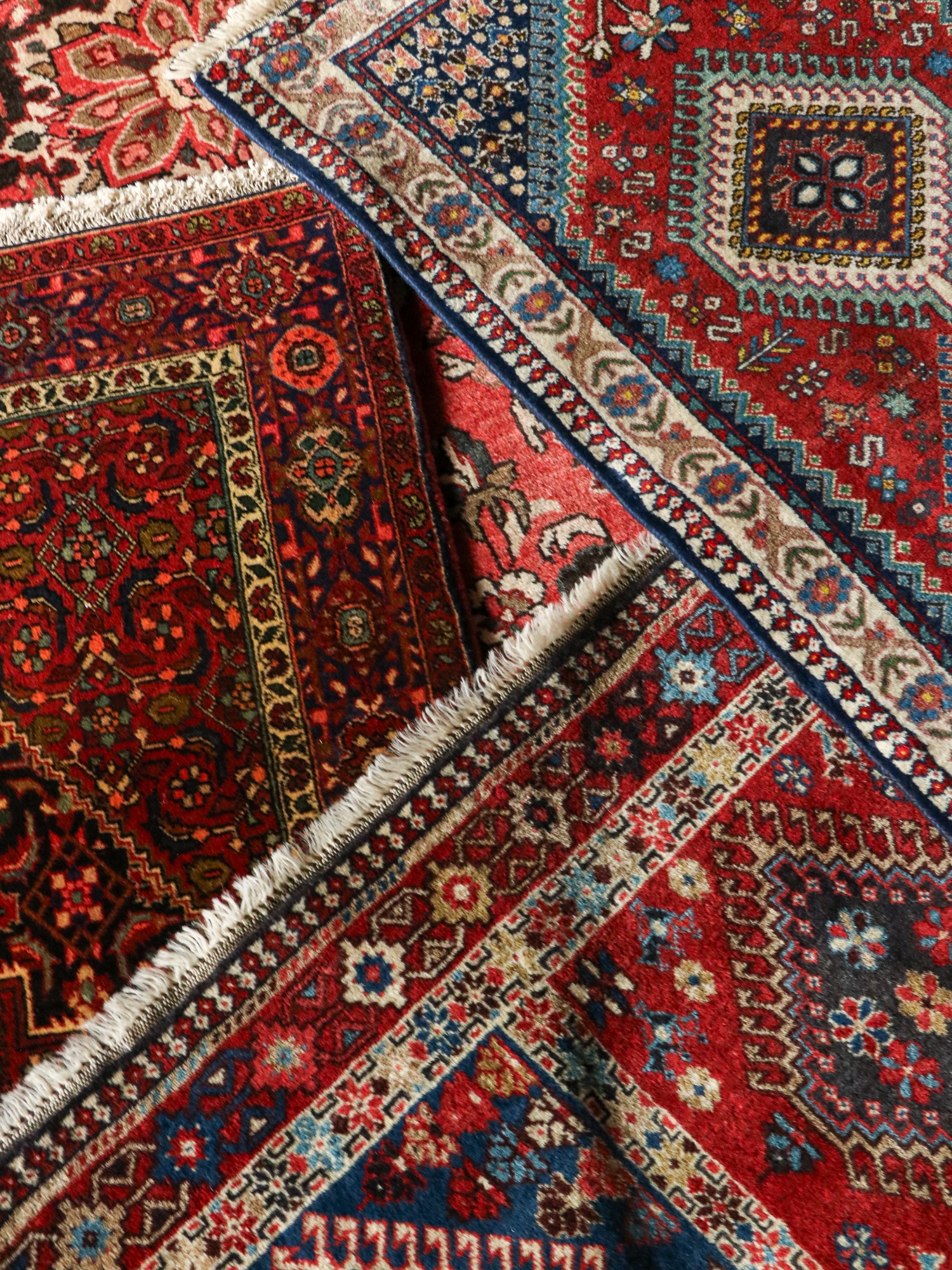 トップ　トライバル①