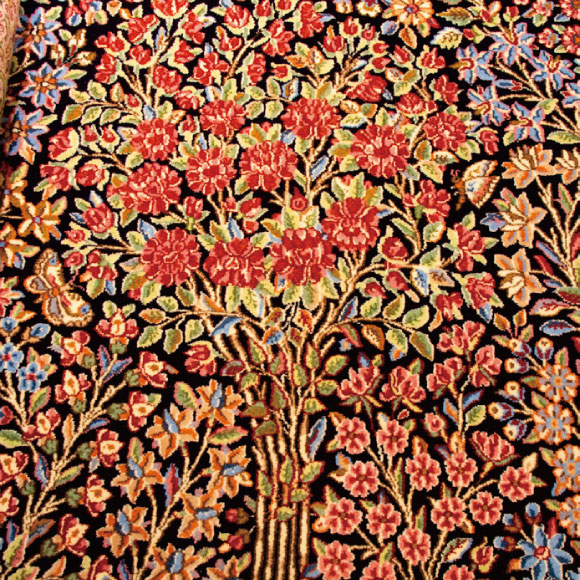 生命の樹(ツリー・オブ・ライフ)