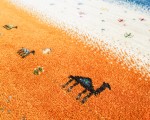 イロトリドリの世界in浜松　4月開催告知！