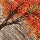 カシュクリ・242×157・茶色・原毛・生命の樹・リビングサイズ・アップ画