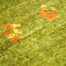 アマレ・89×60・緑色・鹿・木・玄関サイズ・アップ画