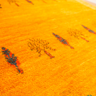 カシュクリ・115×80・黄色・糸杉・生命の樹・羊・玄関マット・アップ画