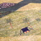 カシュクリ・111×76・緑色・風景・山・テント・羊・玄関マット・アップ画