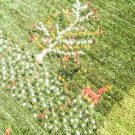 アマレ・緑色・生命の樹・鹿・玄関マットサイズ・アップ画